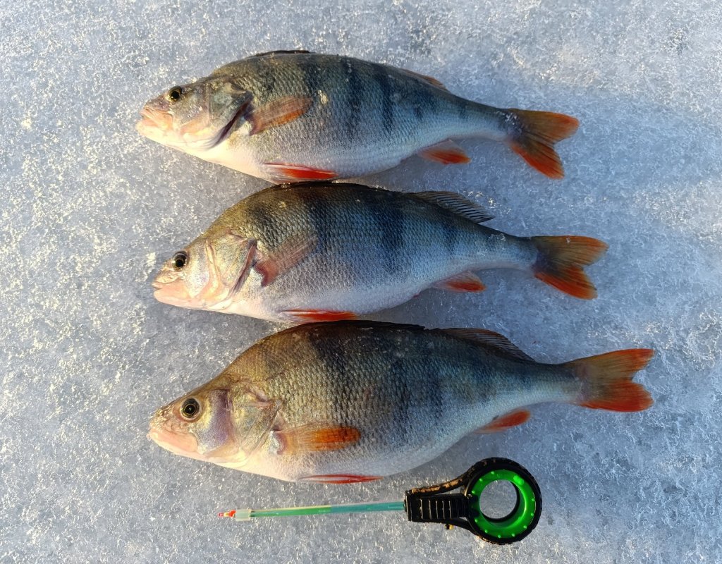 Топ- 3 с ОВХ.