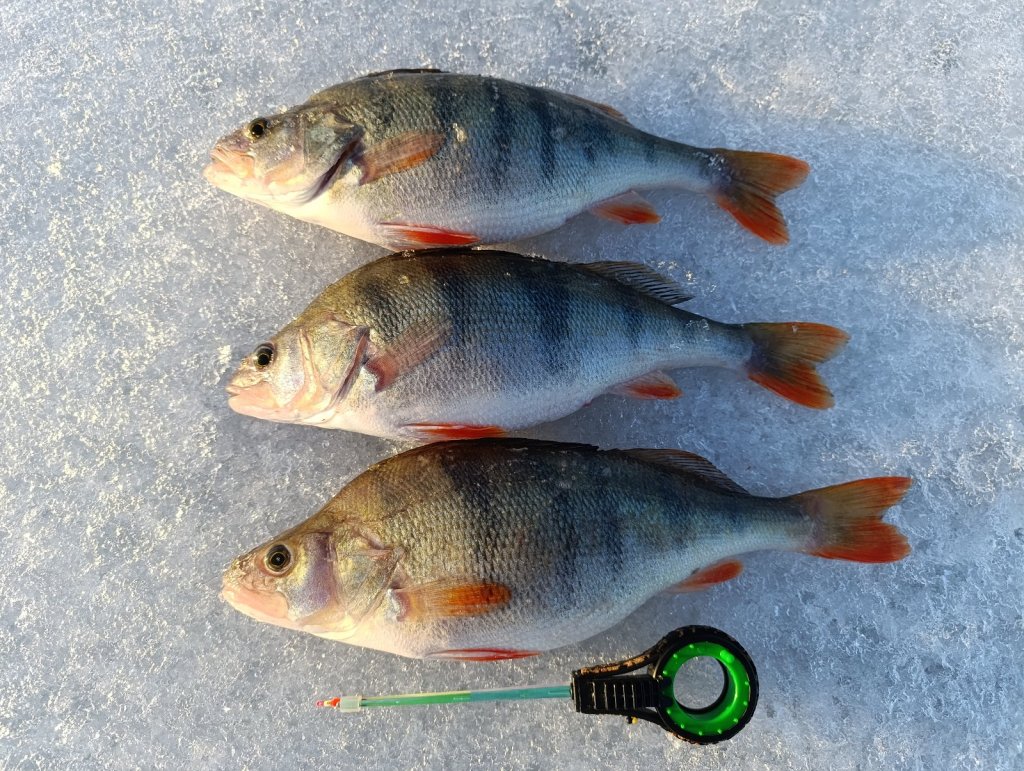 Топ- 3 с ОВХ.