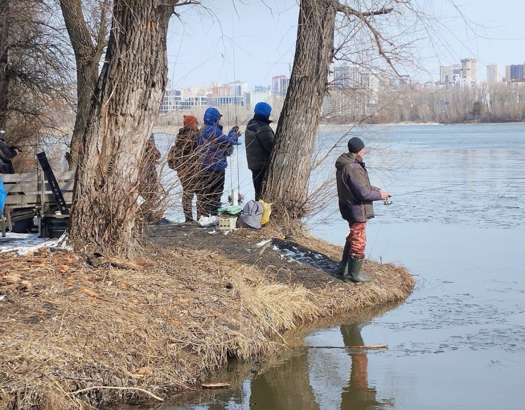 Началось потепление...