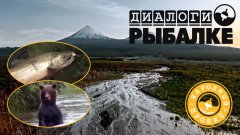 Новые приключения на Камчатке - стране вулканов, медведей и лососей