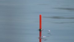 Ловля карася на поплавок! Рыбалка 2026