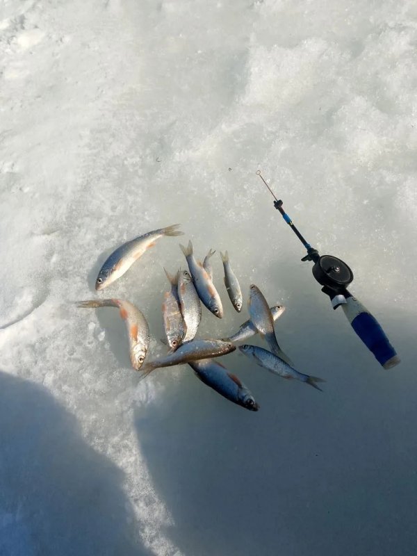 Умревинская протока!..