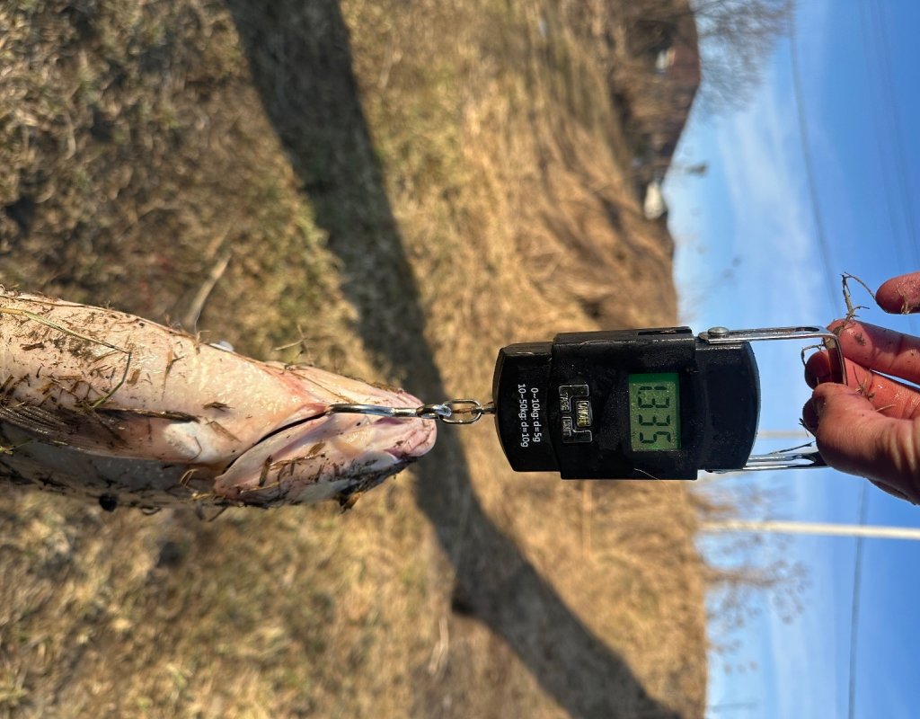 Чуток поменьше