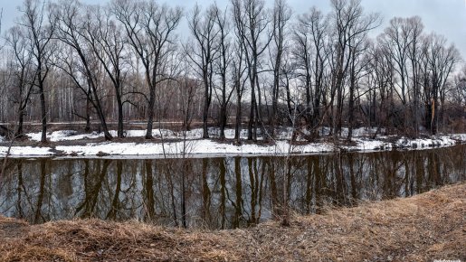 Открытие на Тулке, пять плотвей.