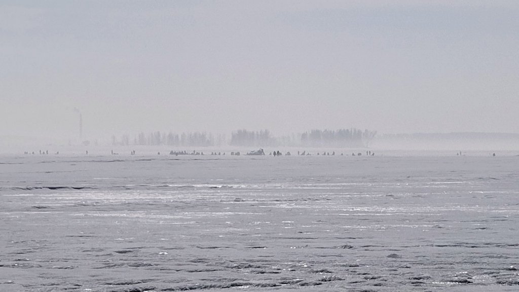 ТаньВань. Ёжики в тумане.