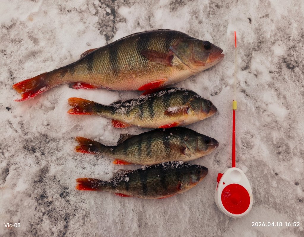 Скромное закрытие на Уме.