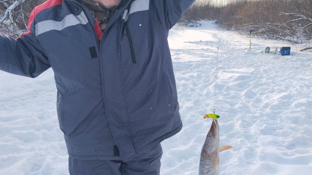 Обернувшись назад! Движемся вперёд!..