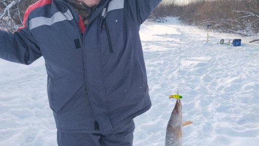 Обернувшись назад! Движемся вперёд!..