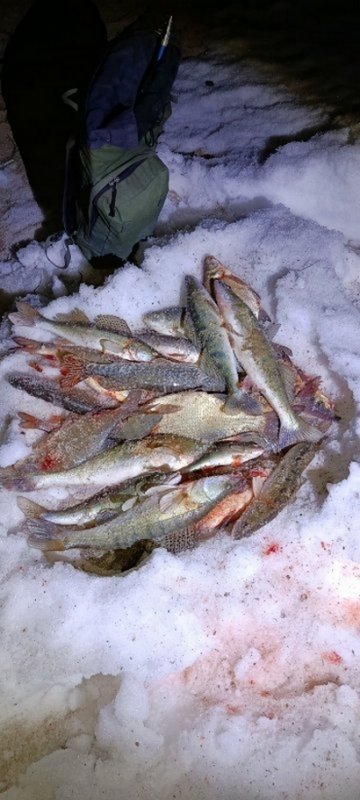 Пошла рыбка по открытой воде.