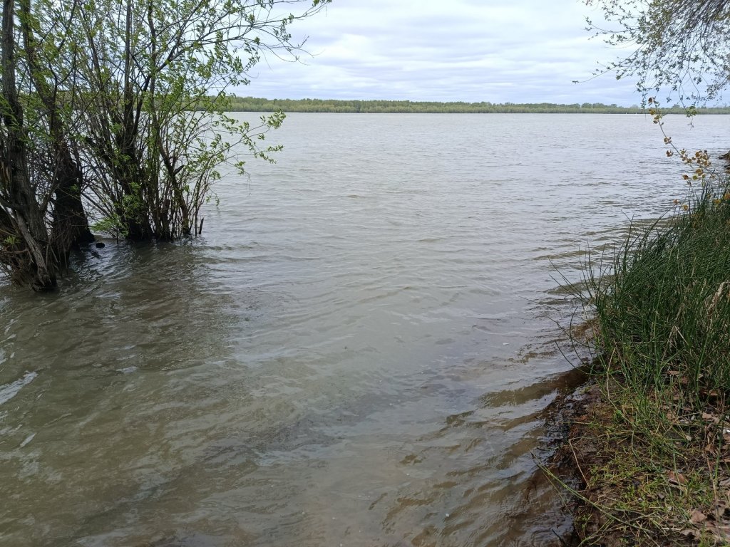 Обь сегодня