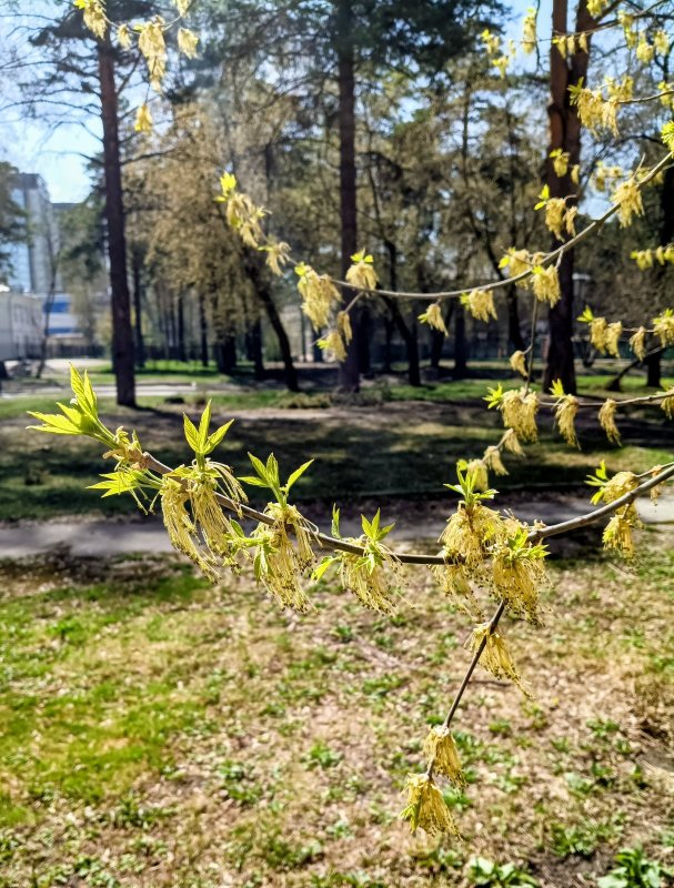 Вчера в парке