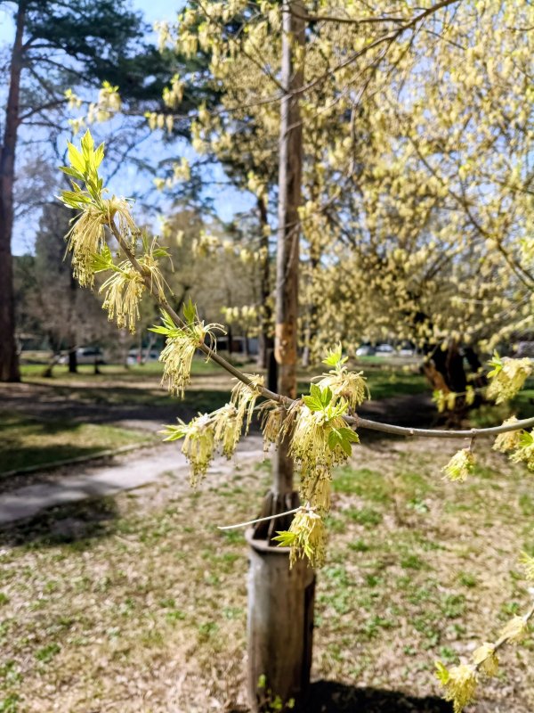 Вчера в парке-2
