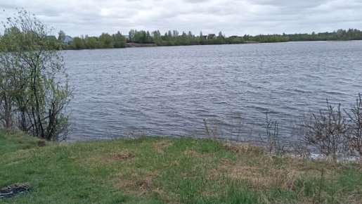 Криводановка