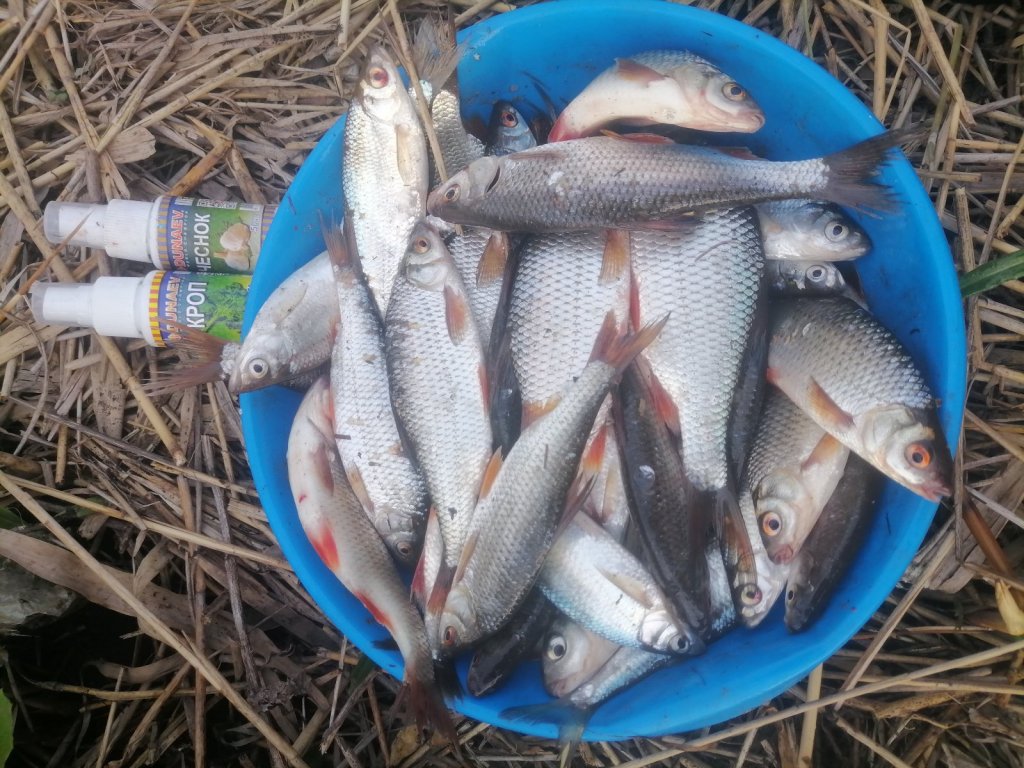 На поплавочку было повеселей.