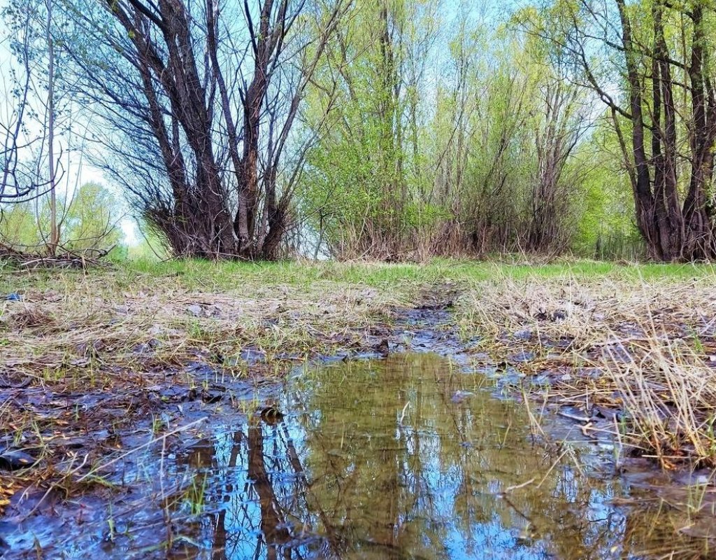 Обские разливы