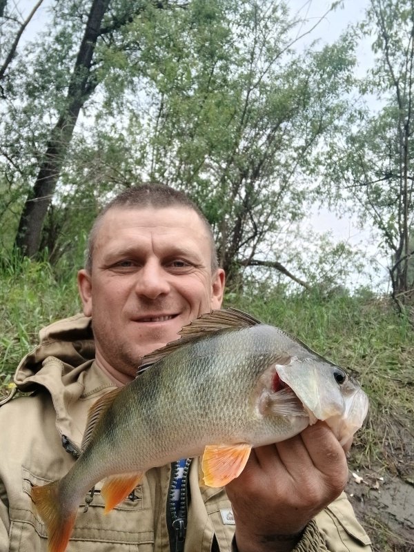 Соплякова