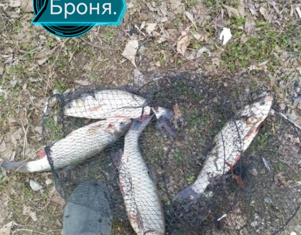 На Оби не клюет.