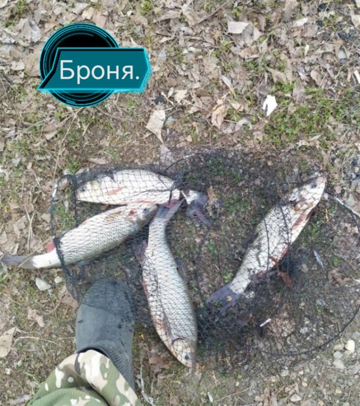 На Оби, не клюет.