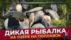 Такого спасения рыбалки мы не ждали! Дикое озеро утерло нос платнику