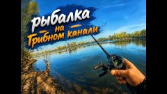 В поиски рыбы Гребной канал Барнаул отличная природа    0.5 0.5 2026 Год