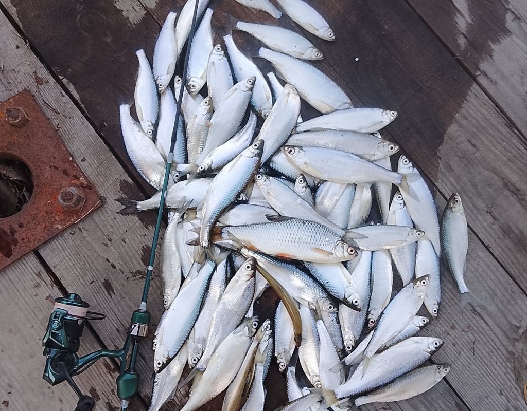 Мормышинг рулит