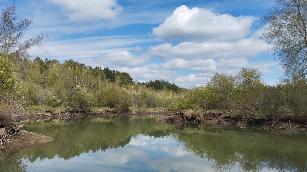 Шадриха