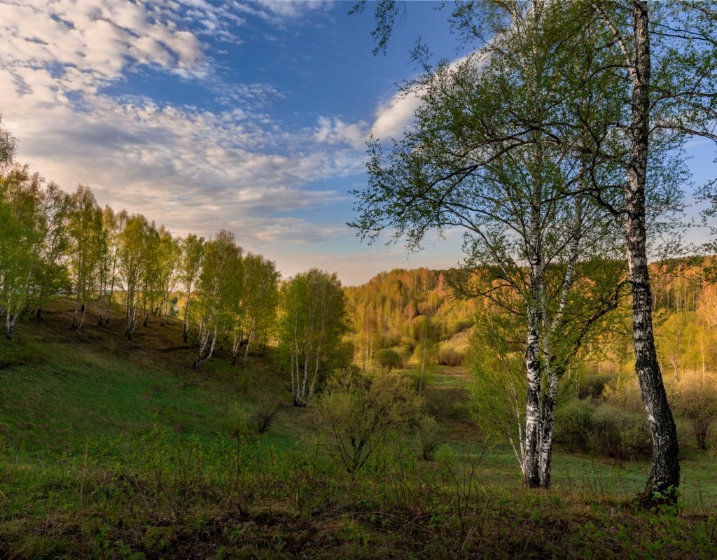 Раннее утро