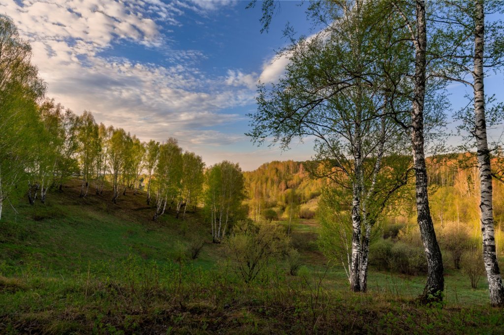 Раннее утро