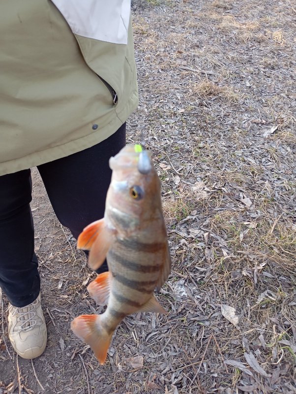 Открытие сезона 22.04.