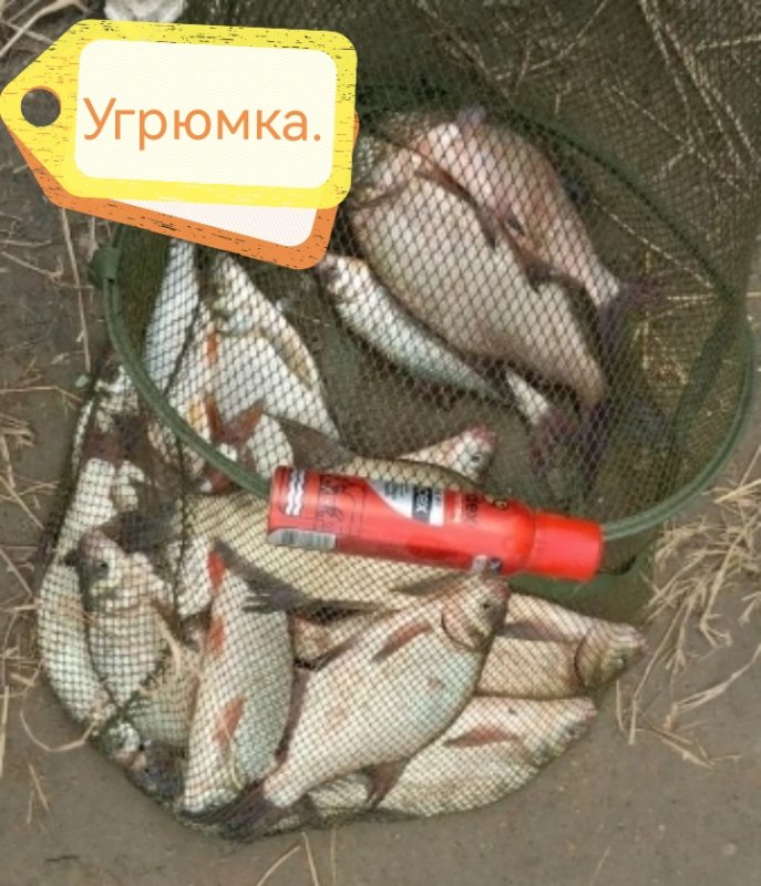Чуть-чуть поймано.