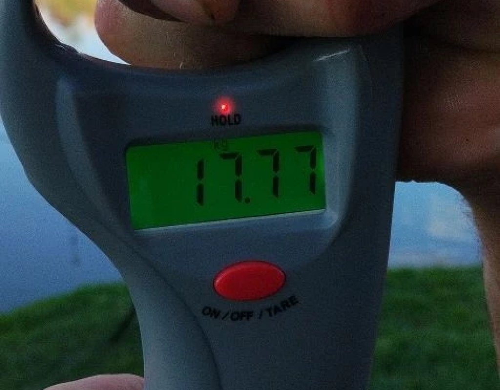 Белый Амур 17.77 кг