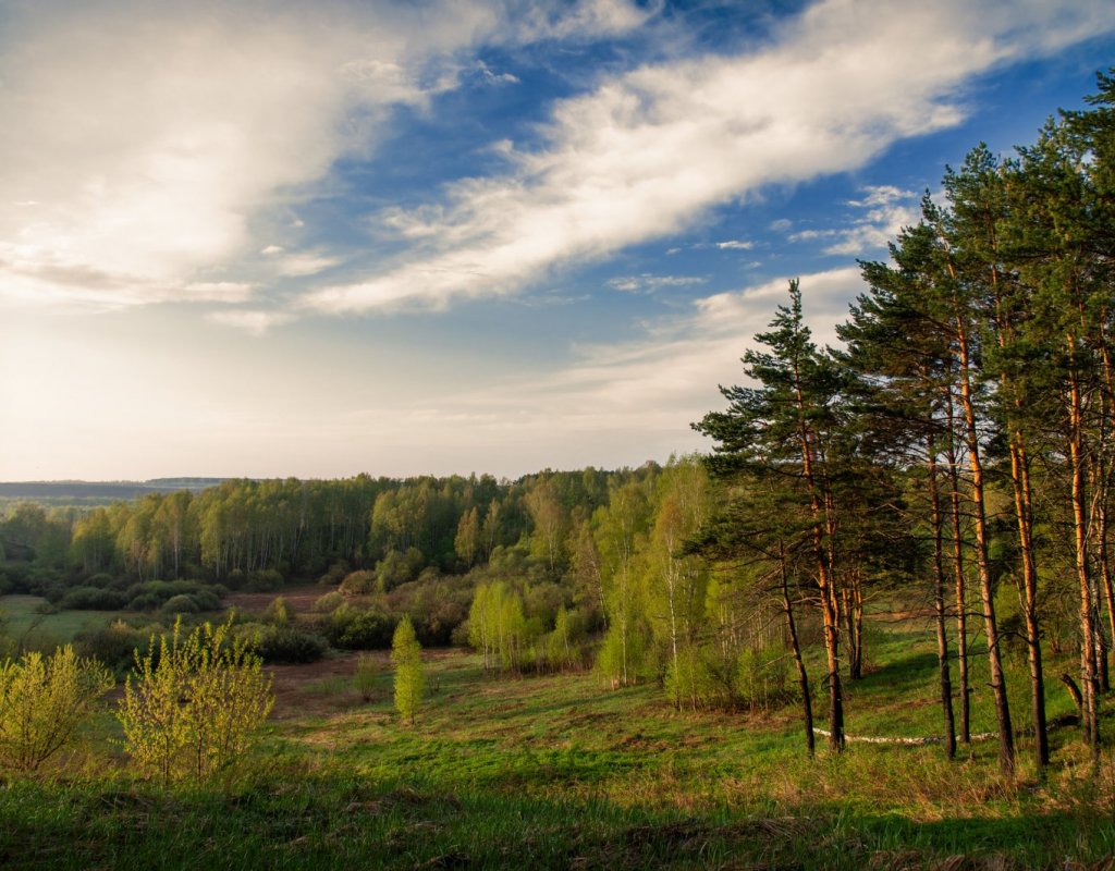 Раннее утро
