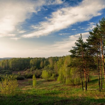 Раннее утро