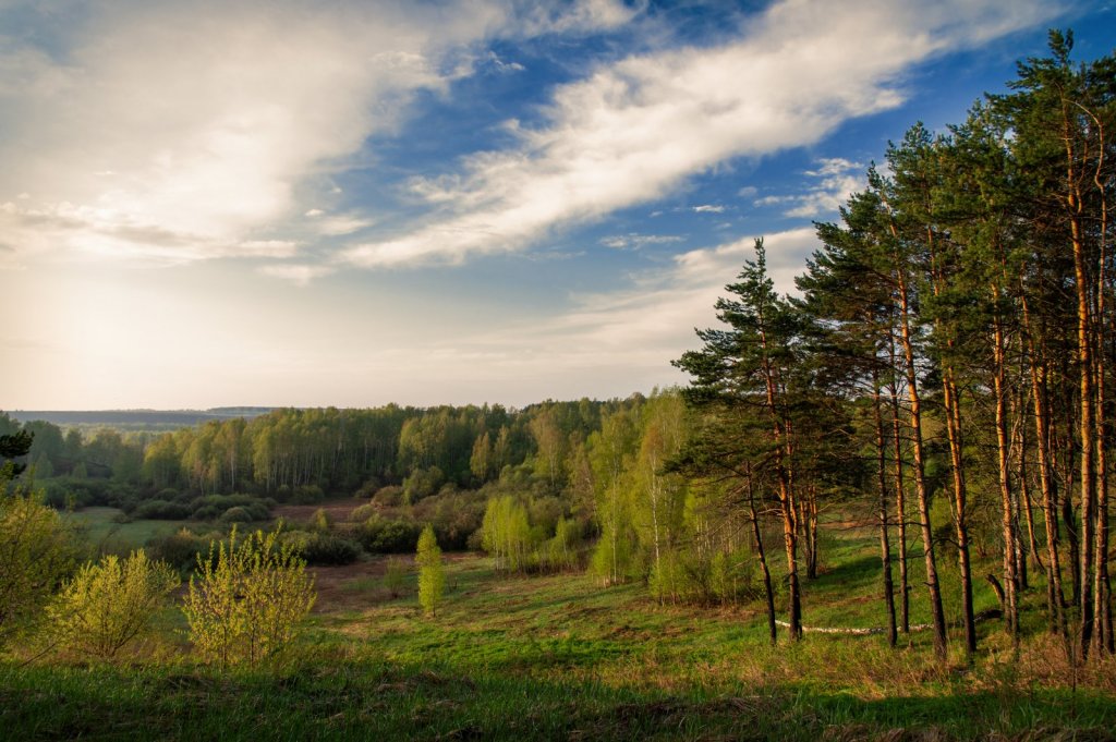 Раннее утро