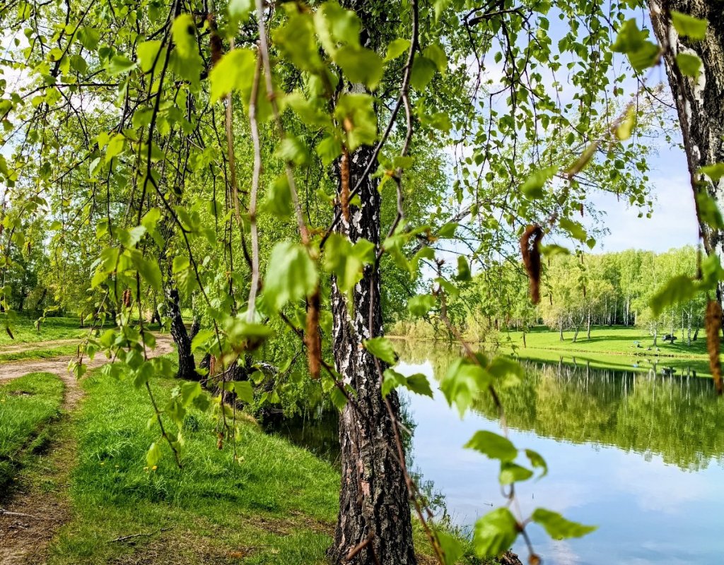 Утро на озере-3