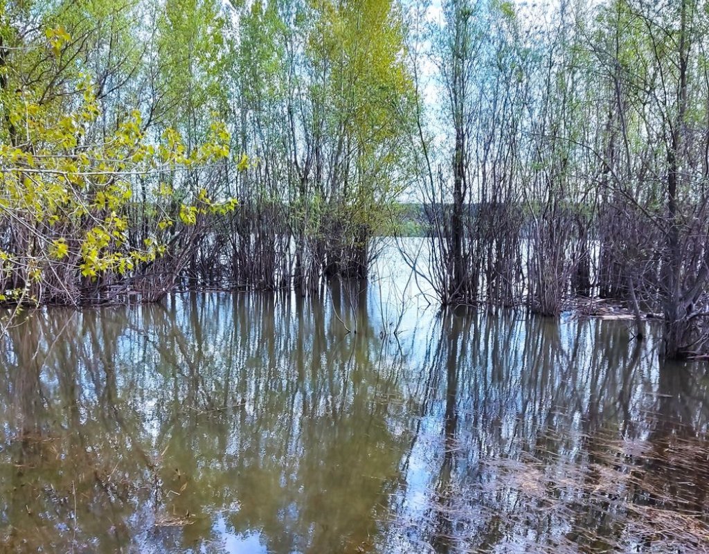 Обские разливы