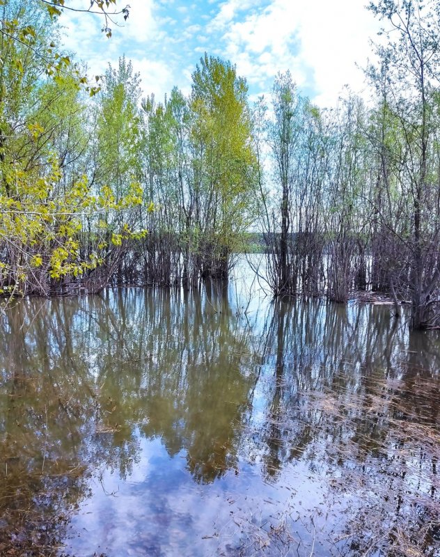 Обские разливы