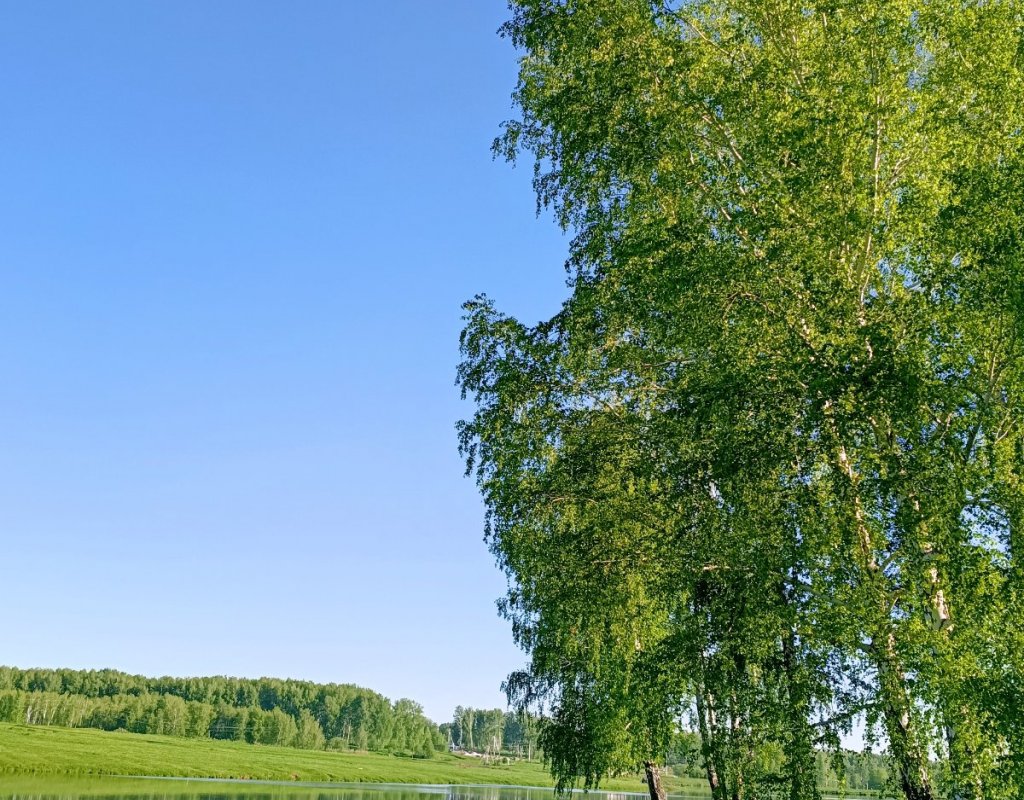 Утро на озере