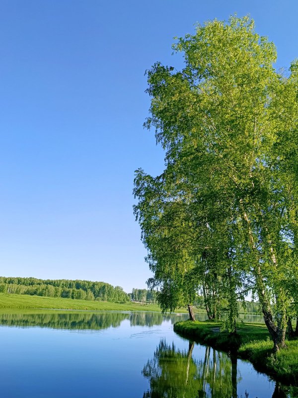 Утро на озере