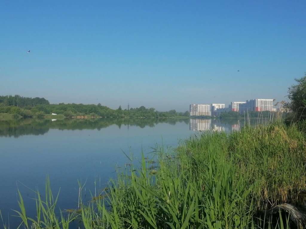 Штиль.