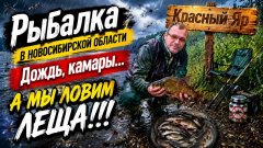 Красный Яр. Лещ, язь, плотва.