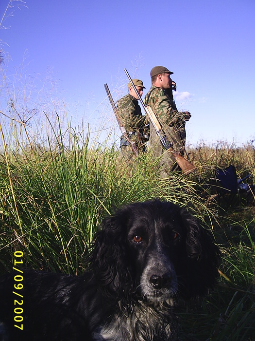 Забайкальские охотники  с собакой на утинной охоте 