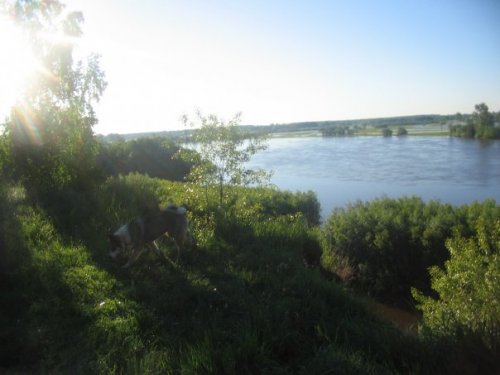 Утро на реке Чулым