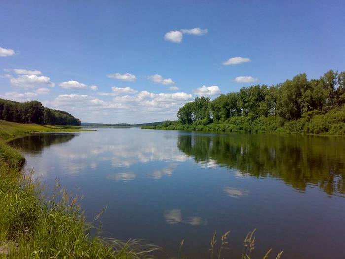 река Томь, протока у села Митрофаново.