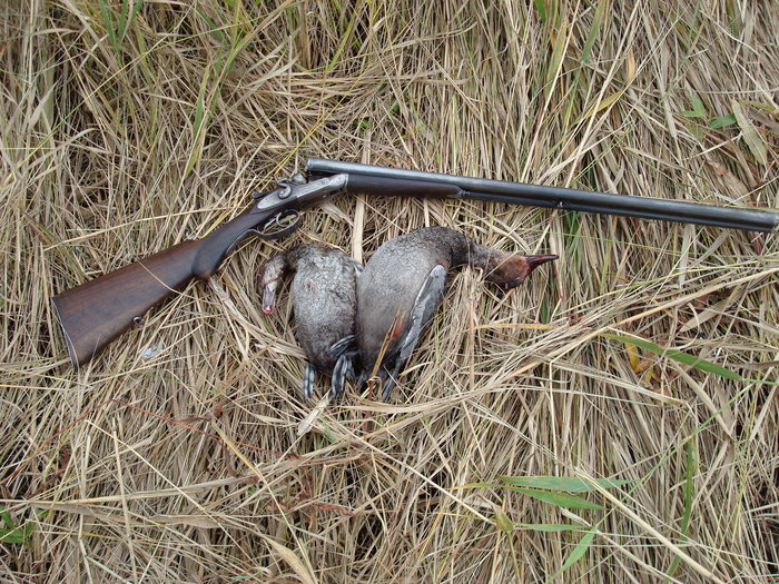 скромно, но свое =) 13.09.08