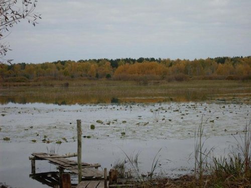 осень на Зимняке