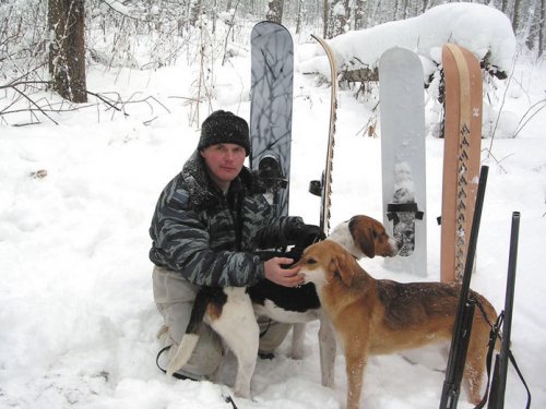 Верные помощники