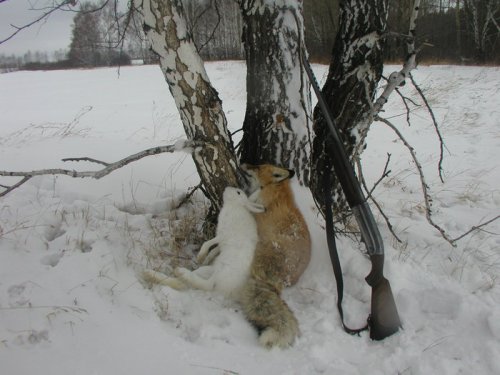 Еще вопрос кто кого догнал ....