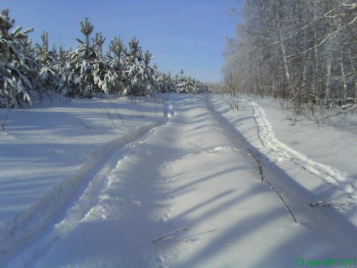 По свежему следу!