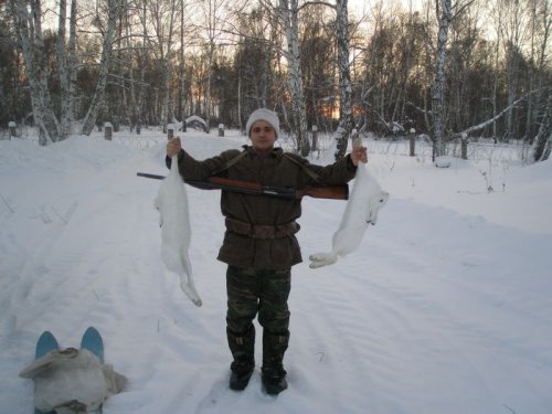 Пока у меня такой загонщик,мне никакой гончак ненужен!!!Его Шурик зовут...